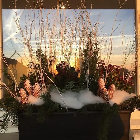 La Cle Des Vignes * Ribeauvillé